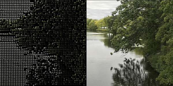 Computational Experiments recreation image study three