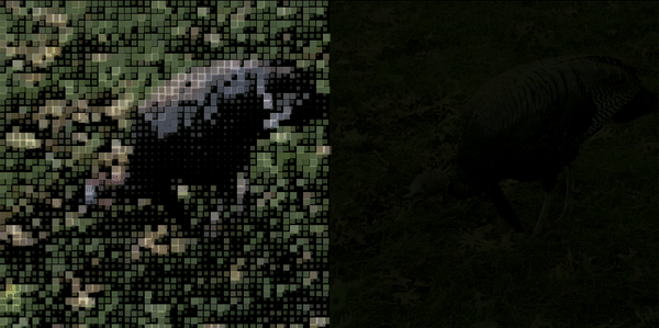 Computational Experiments recreation image study four