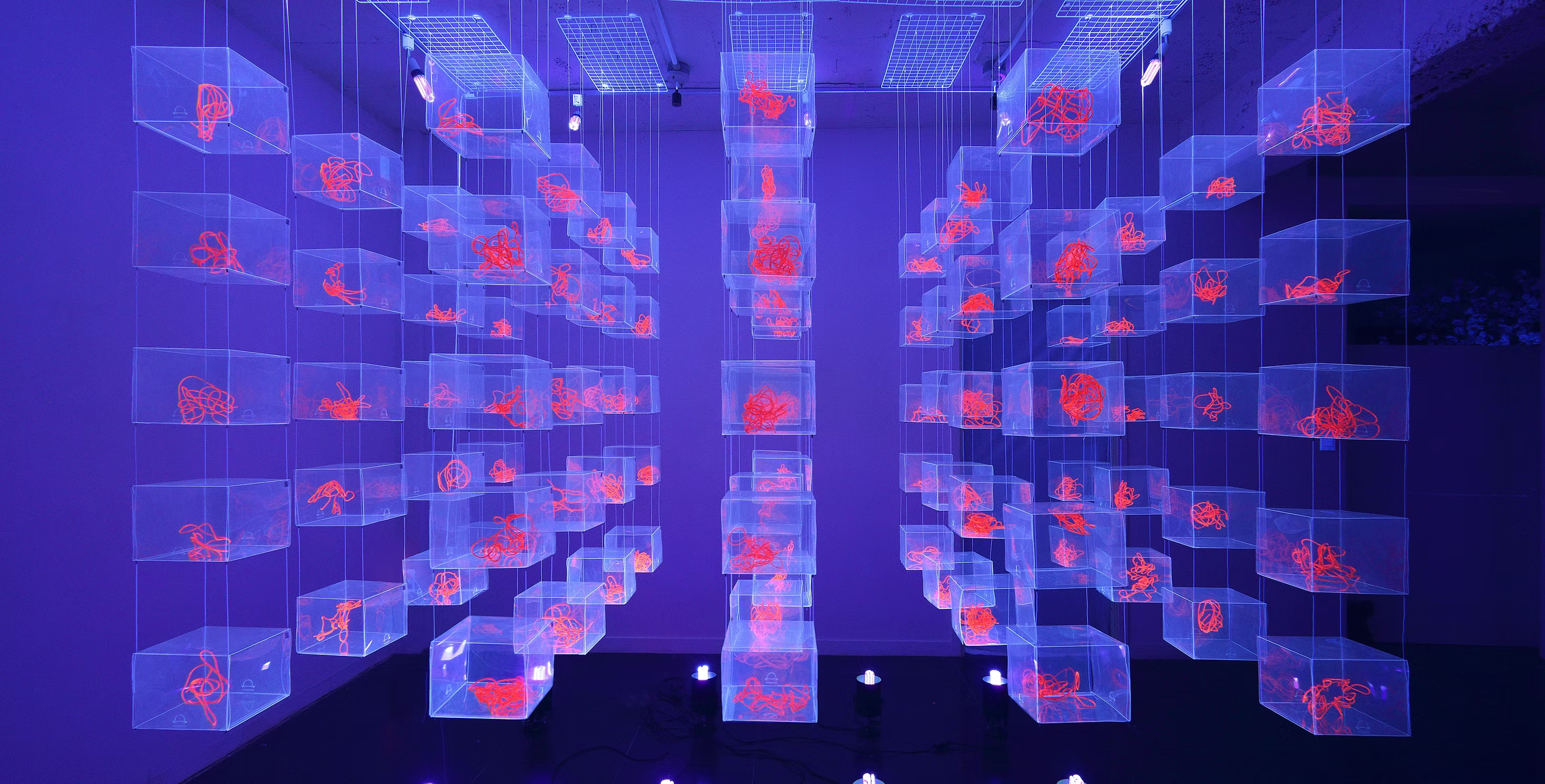 Hippocampus installation main image