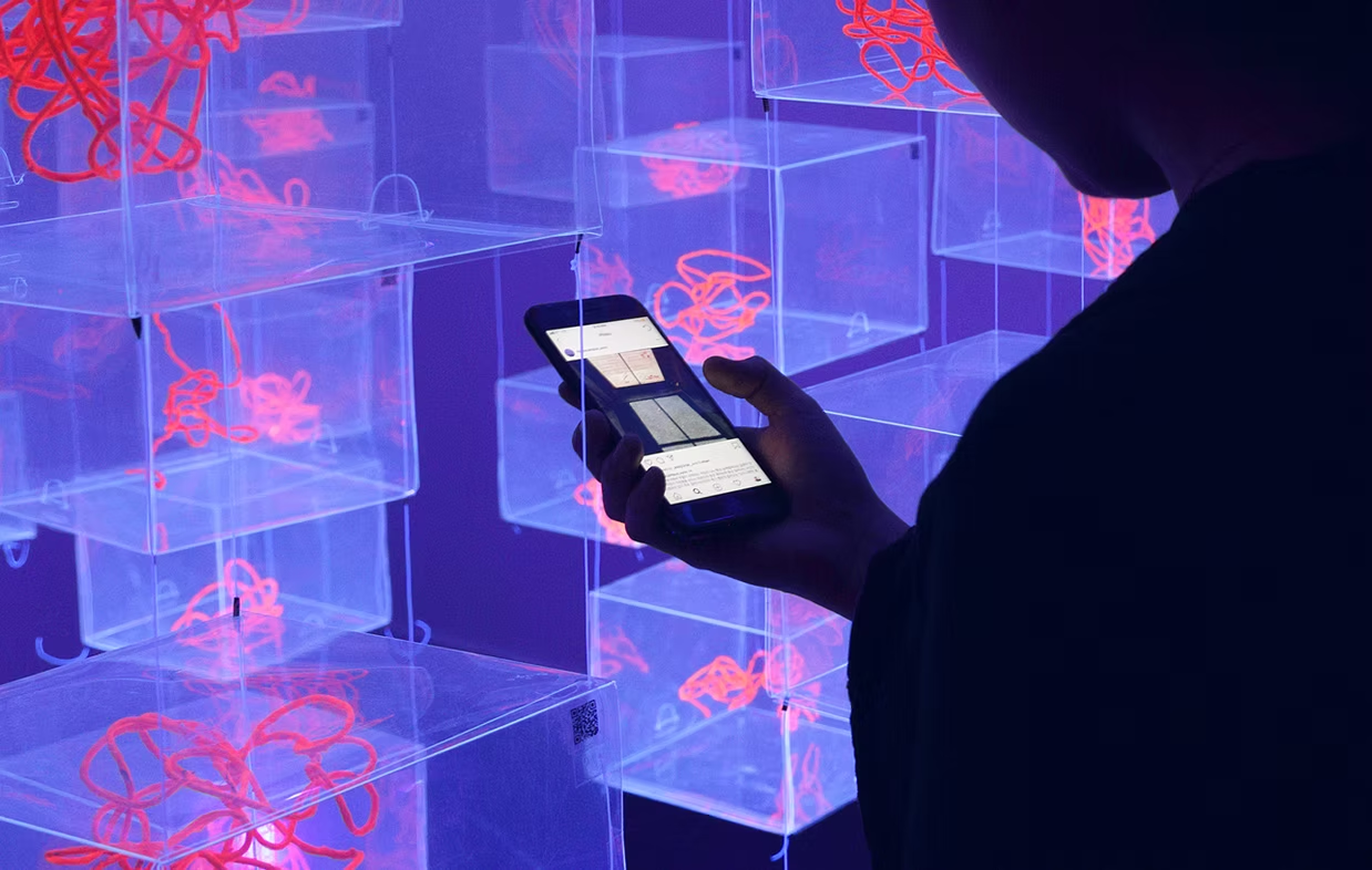 Hippocampus installation view two