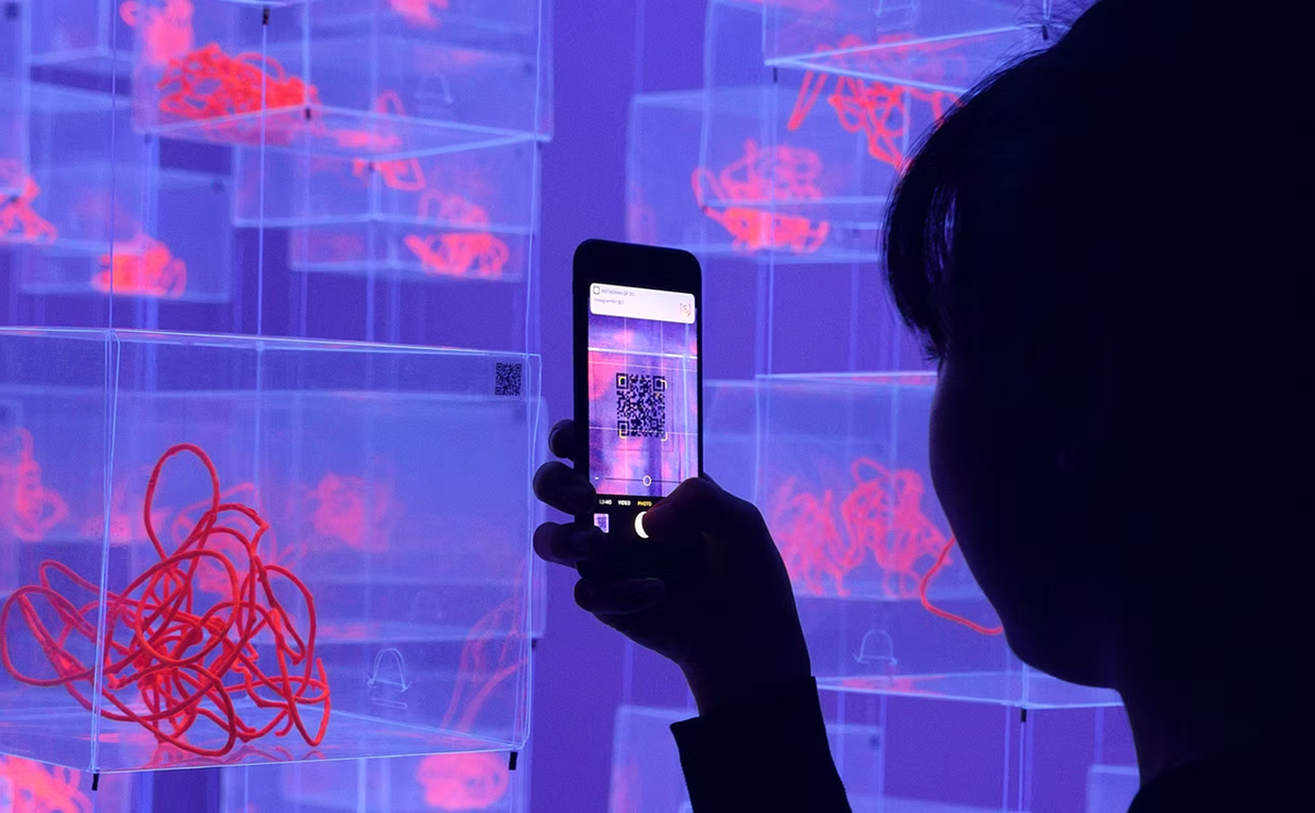 Hippocampus installation view three