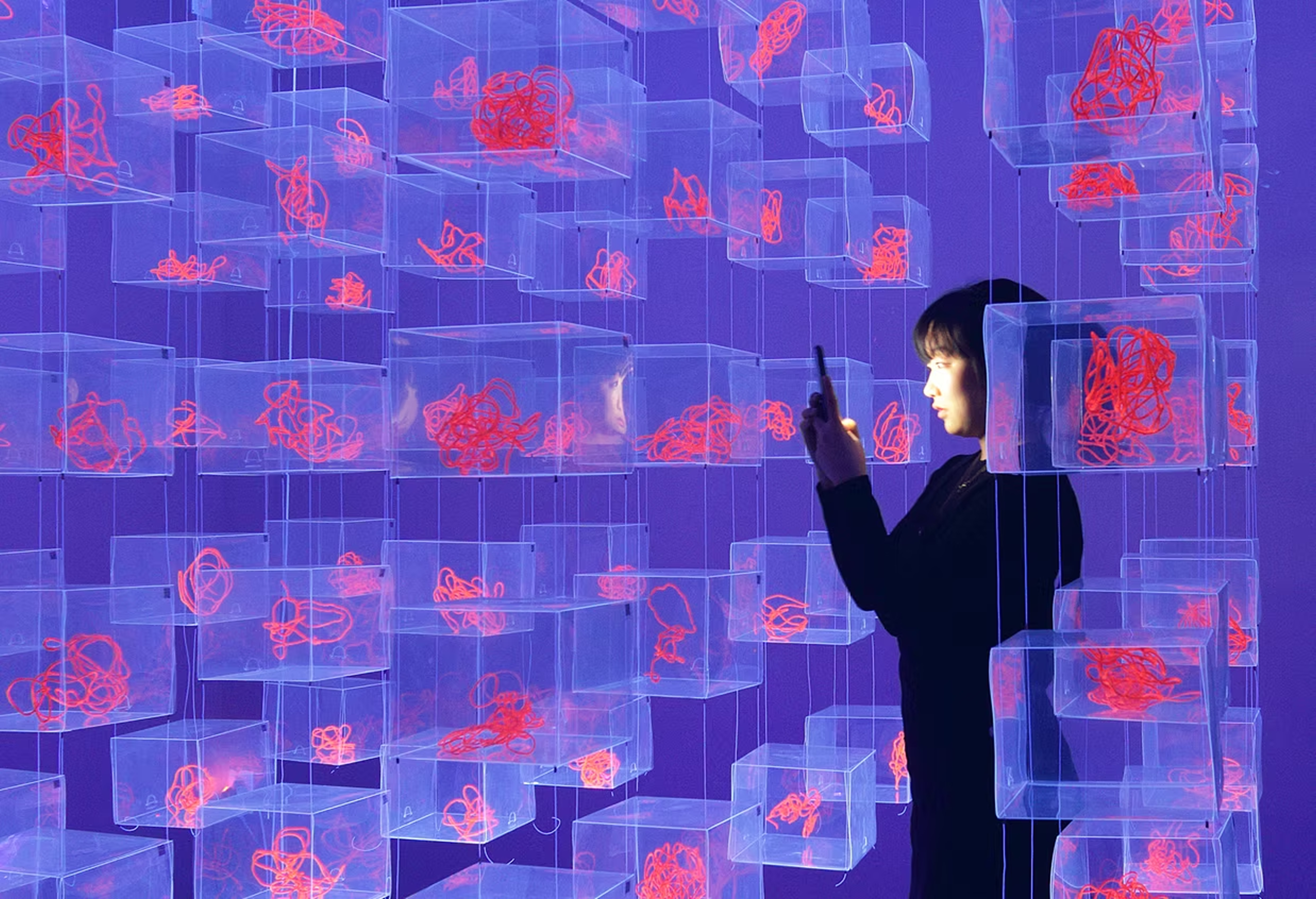 Hippocampus installation view four