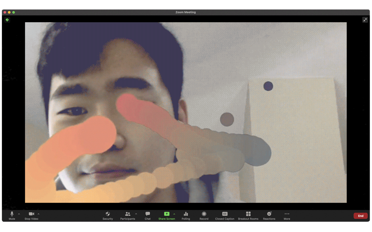 Zoom Plus interactive visual filters and effects